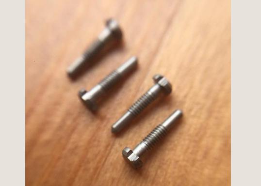 4 prongs RM watch screw for Richard mille watch bezel case fixed